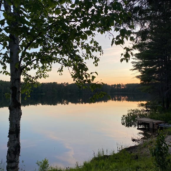 Meet your Posher, Victoria - Picture 1 of 1